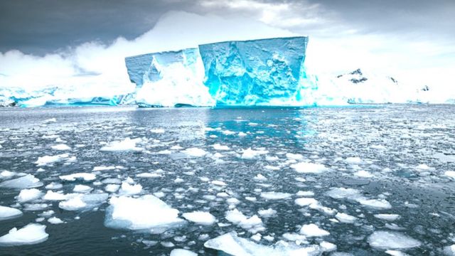  This is a danger not only to polar bears but also to the world ... Analysts warn!